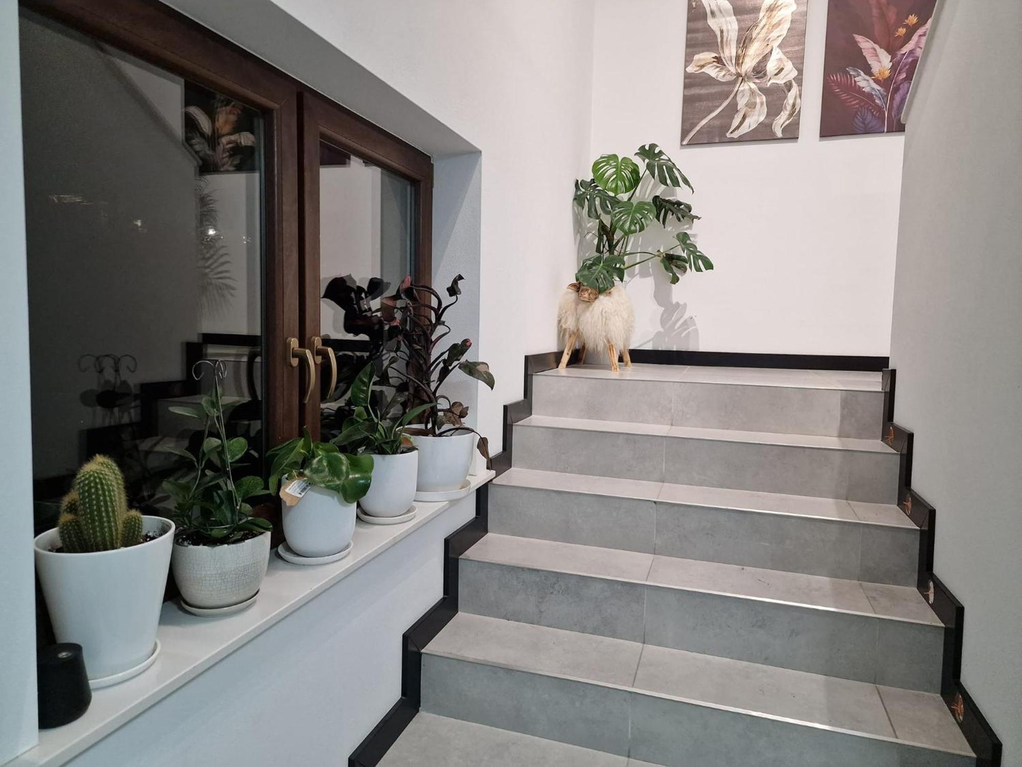 Male Ciche 36J Przy Ostrewkach, Widok Na Gory, Blisko Do Wyciagu Narciarskiego, Idealne Miejsce Na Wypad W Gory -Tarasowka-Zgorzelisko-Rusinowa Polana-Gesia Szyja-Palenica-Wiktorowki-Morskie Oko Мужасихле Екстер'єр фото